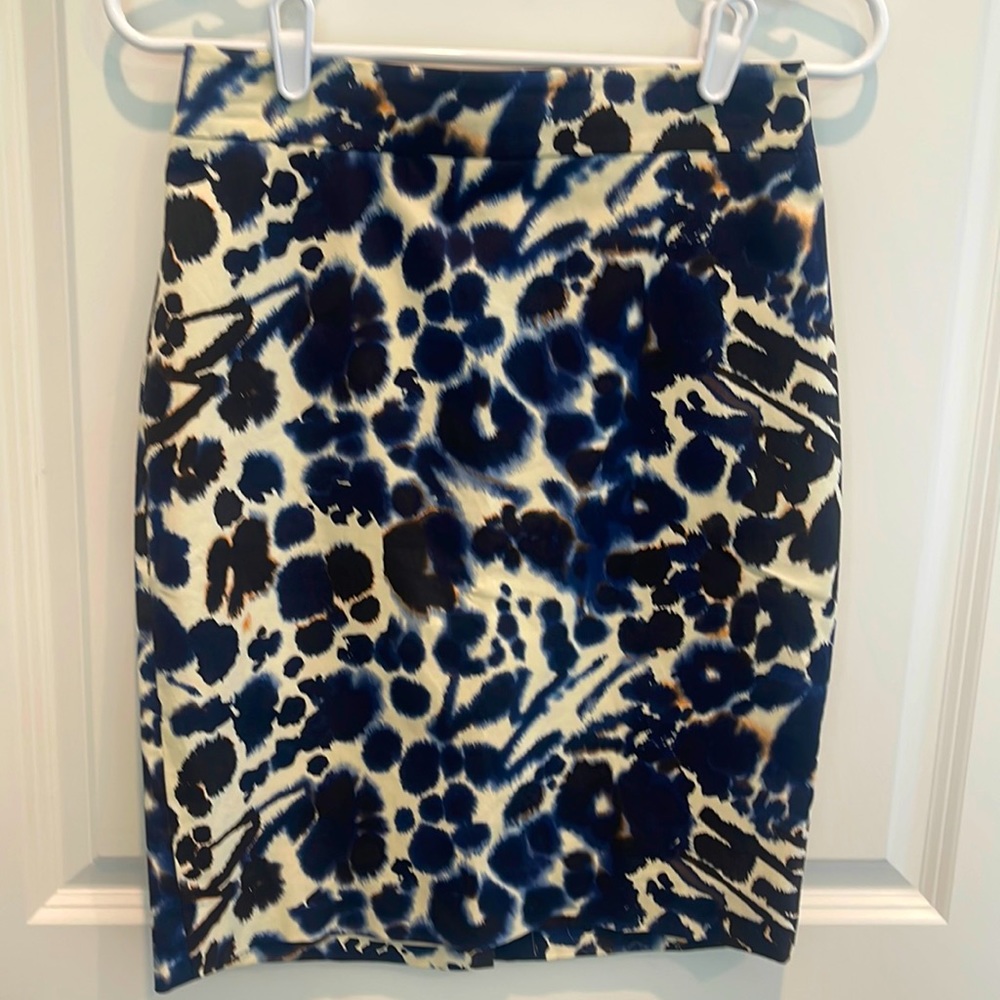 Elegant Knee Length‎ Skirt Size Petite 2P from Ann Taylor